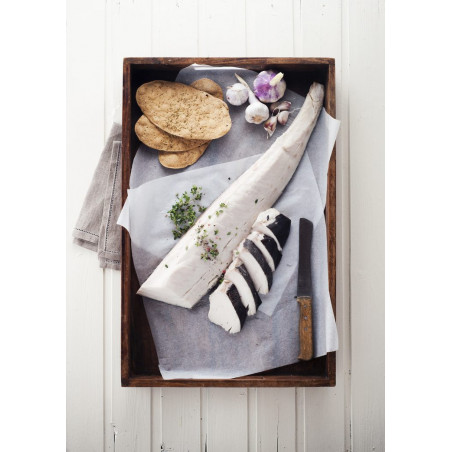 Buttermakrelen-Filet - tiefgefroren