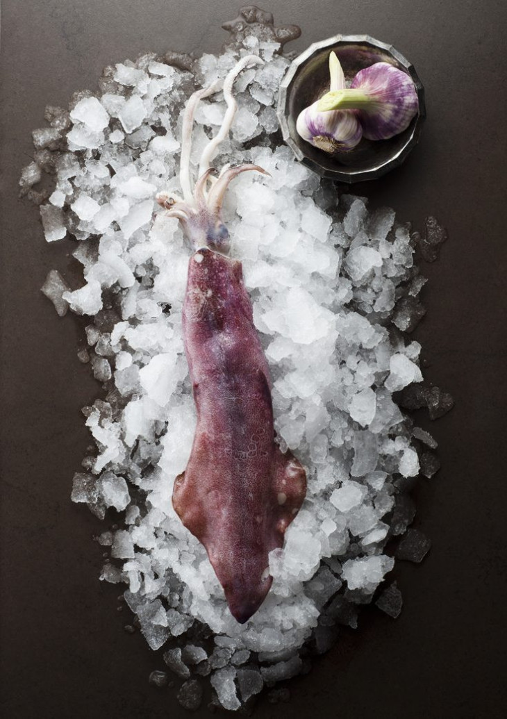 Frischer Kalmar/ Calamare Loligo Frischer Kalmar/ Calamare Loligo