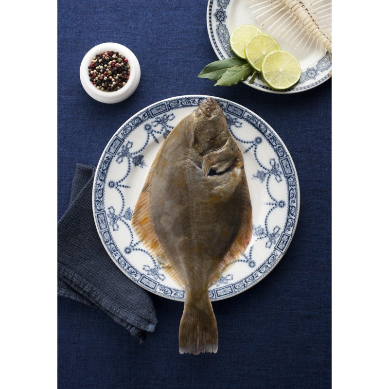 Frische Ostsee-Flunder – küchenfertig