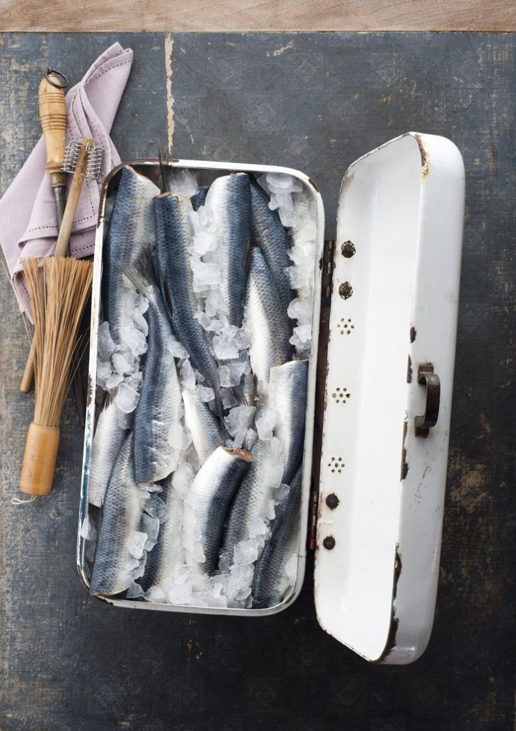 Fangfrischer Ostsee Hering online kaufen