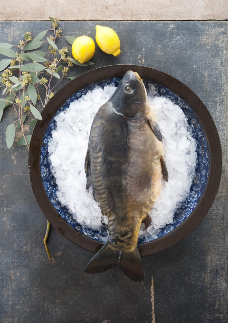 Frischer Karpfen – küchenfertig