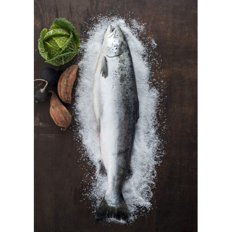 Frischer Lachs – küchenfertig