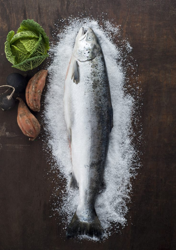 Frischer Lachs – küchenfertig Frischer Lachs – küchenfertig