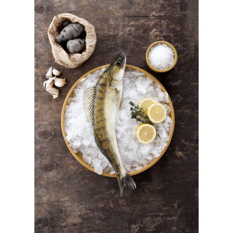 Frischer Zander – küchenfertig