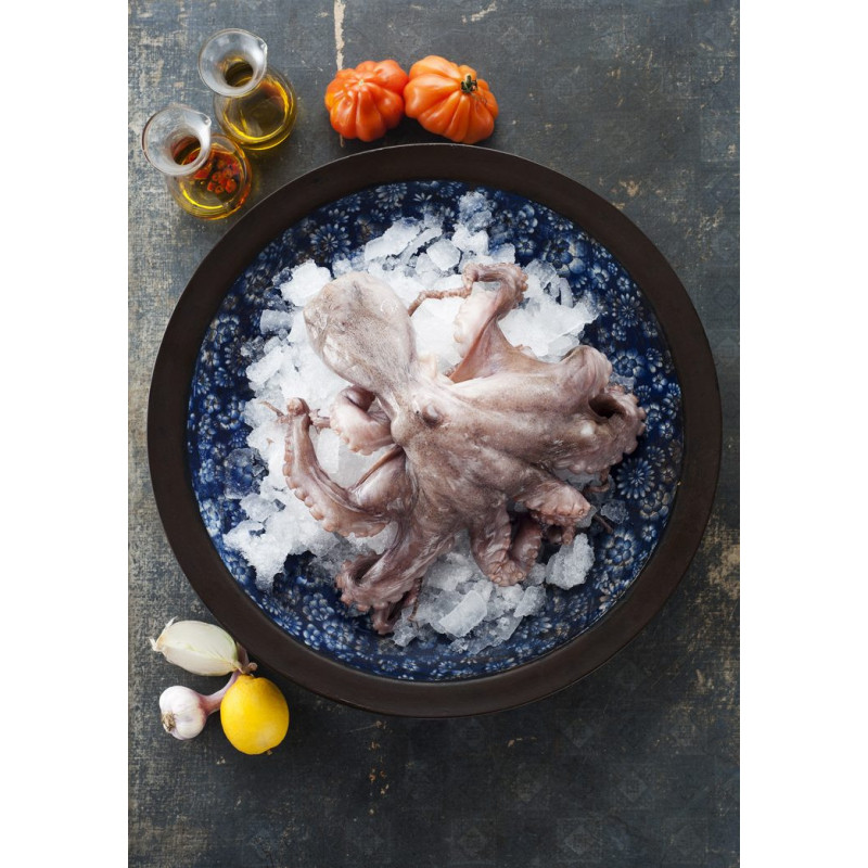 Pulpo tiefgefroren  - 1
