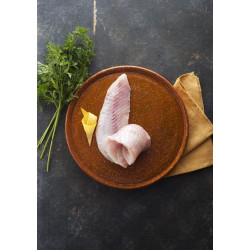 Frisches Rotbarsch-Filet