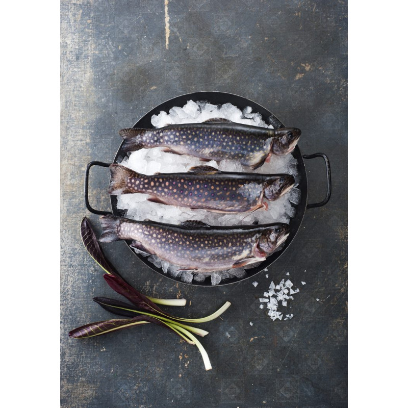 Frischer Gehlsbach-Saibling – küchenfertig