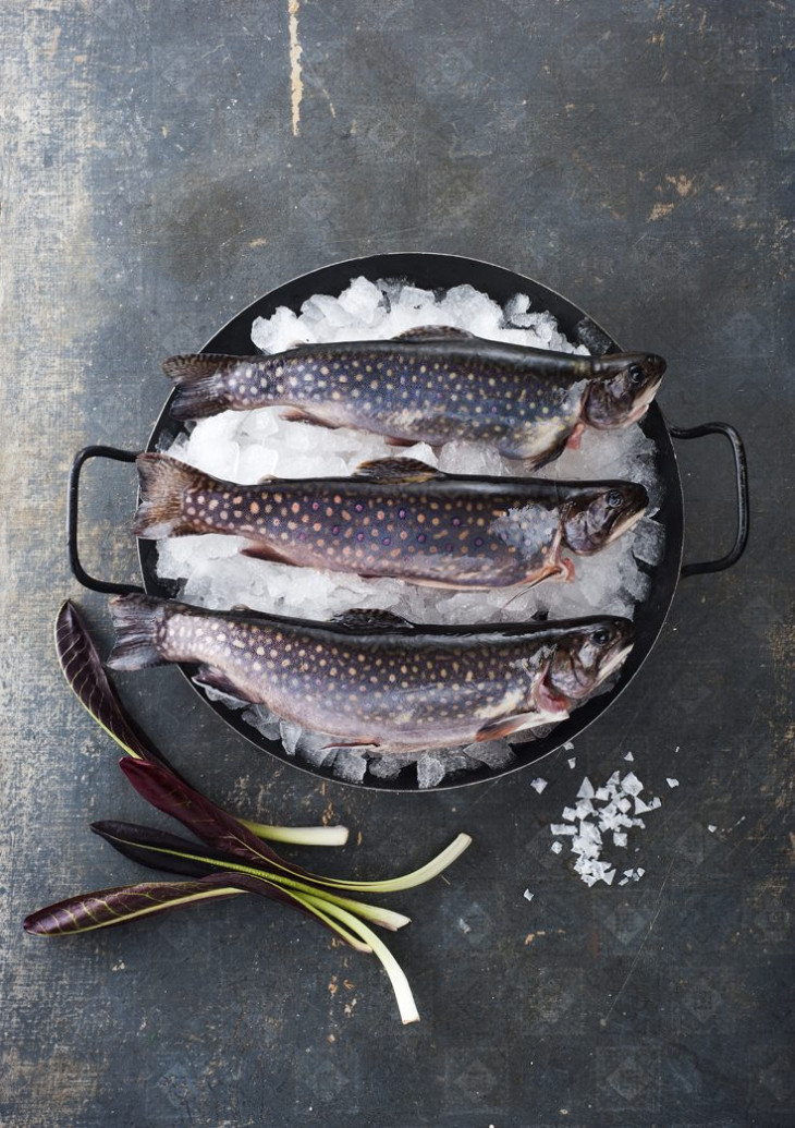 Frischer Gehlsbach-Saibling – küchenfertig