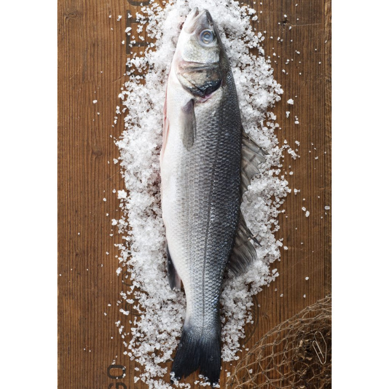 Wolfsbarsch (Loup de mer) – küchenfertig, tiefgefroren  - 1