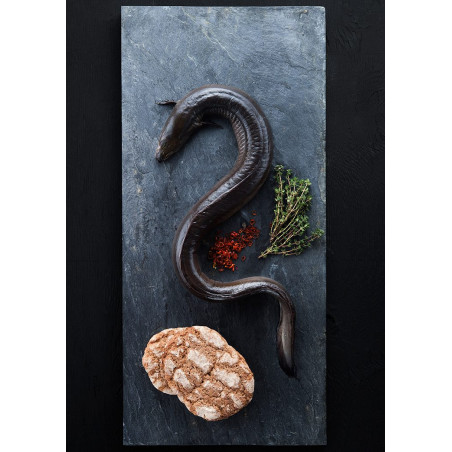 Müritz-Aal - tiefgefroren