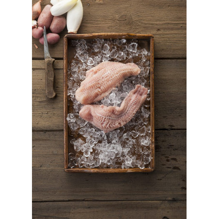 Welsfilet, rotfleischig (ohne Haut) – tiefgefroren
