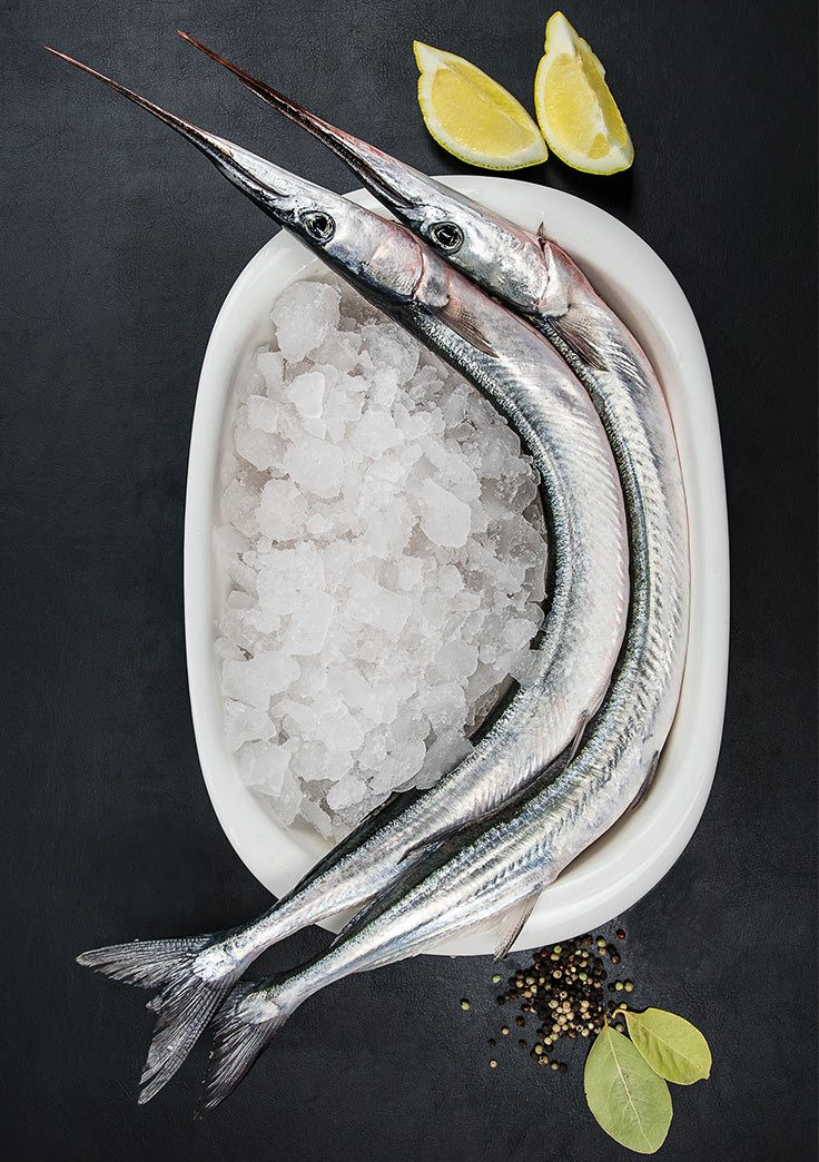 Frischer Hornhecht ausgenommen ohne Kopf Bild Frischer Hornhecht ausgenommen ohne Kopf