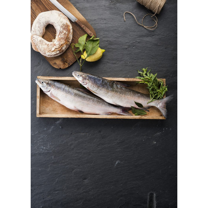 Frische Große Maräne ausgenommen und geschuppt