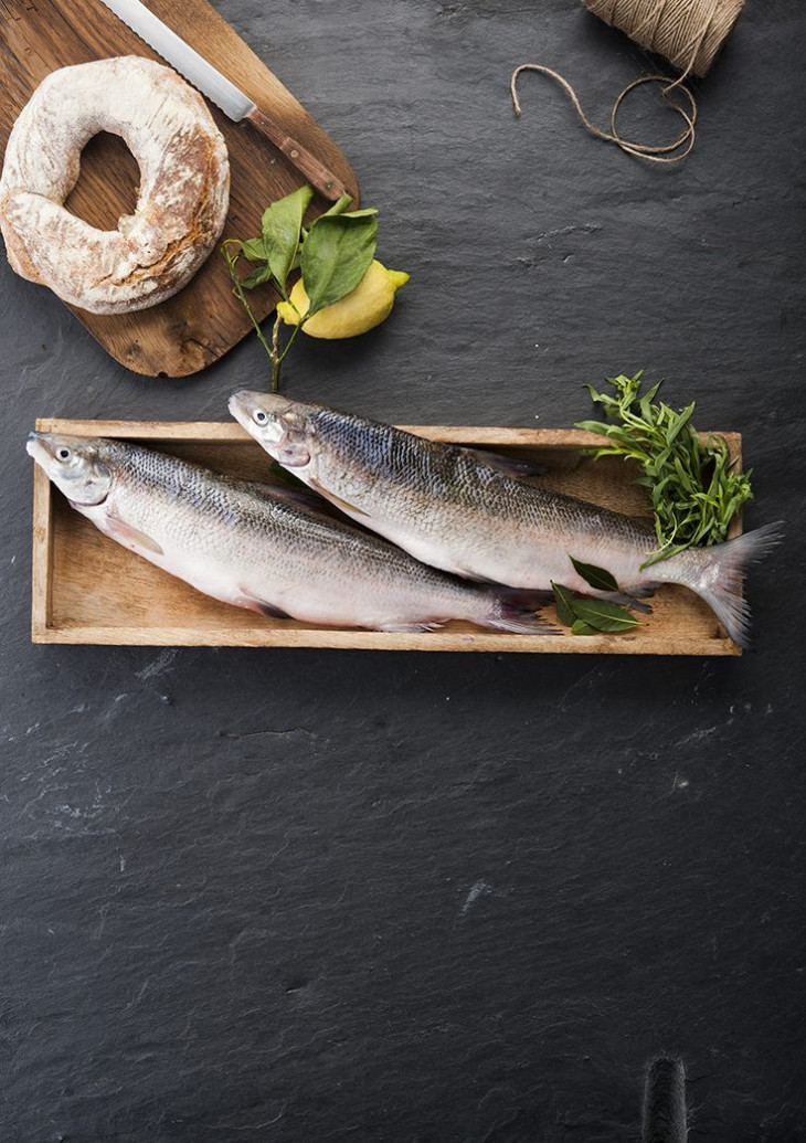 Frische Große Maräne ausgenommen und geschuppt