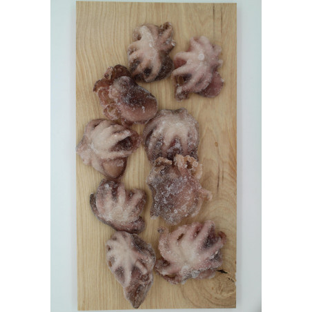 Baby - Oktopus 21/40 - tiefgefroren