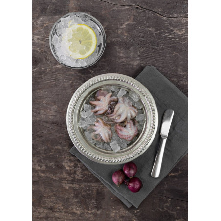 Baby - Oktopus 21/40 - tiefgefroren