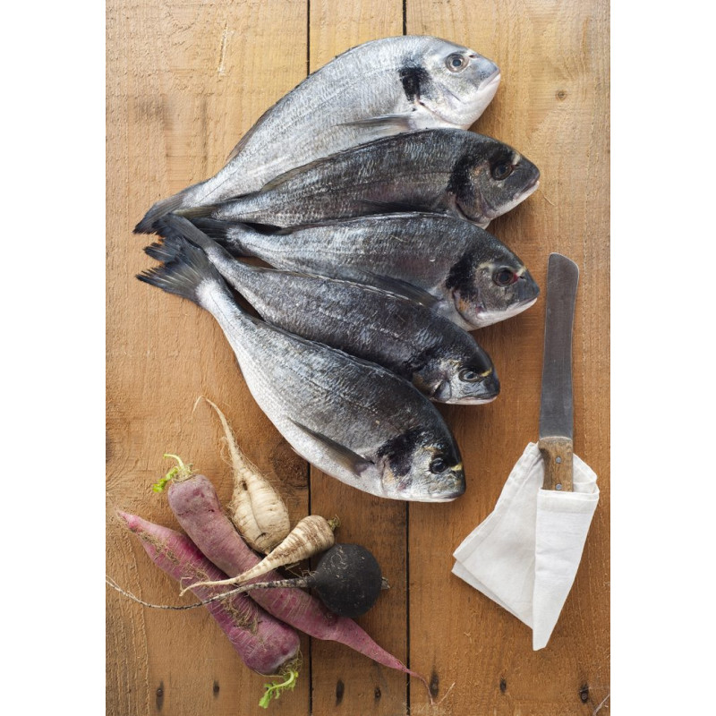 Frische BIO Dorade Royal – küchenfertig