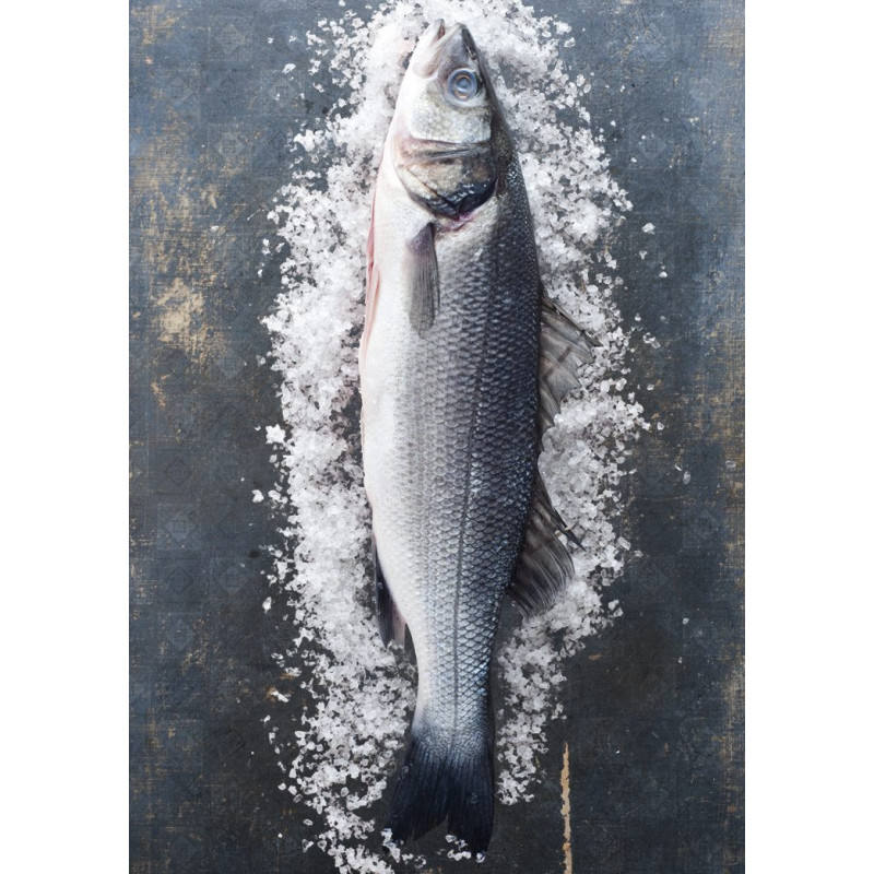 Frischer BIO Wolfsbarsch (Loup de mer) – küchenfertig