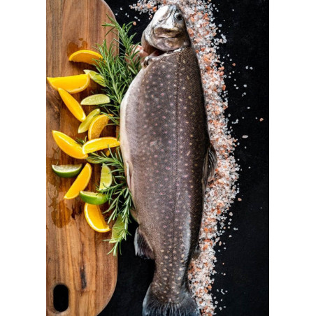 See-Saibling ausgenommen mit Kopf - frisch *Rarität*