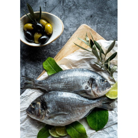 Frische BIO Dorade Royal – küchenfertig