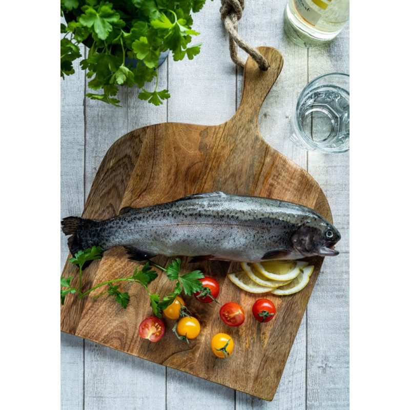 Frische BIO Forelle – küchenfertig