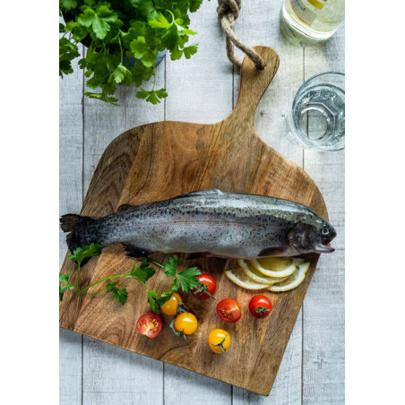 Frische BIO Forelle – küchenfertig