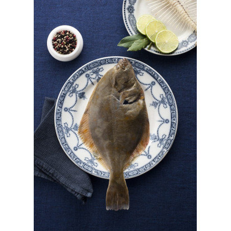 Frische Ostsee-Flunder – küchenfertig