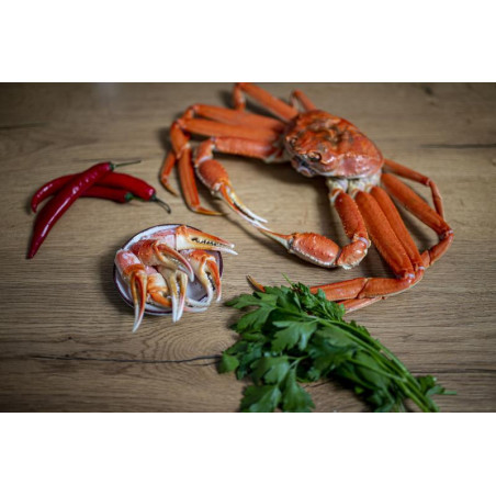 Schneekrabben Cocktail-Scheren tiefgefroren