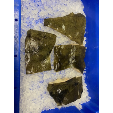 Frisches weißes Heilbutt-Filet mit Haut