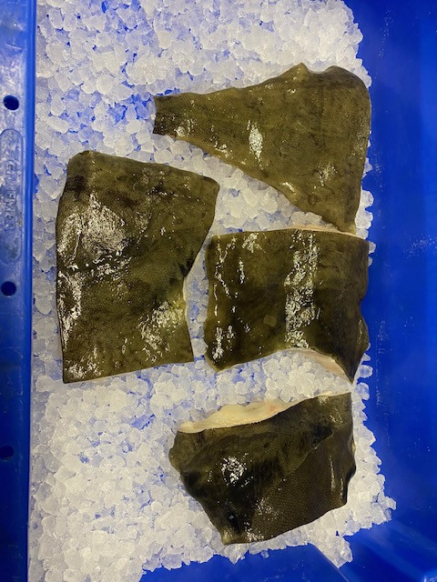 Frisches weißes Heilbutt-Filet mit Haut Bild Frisches weißes Heilbutt-Filet mit Haut