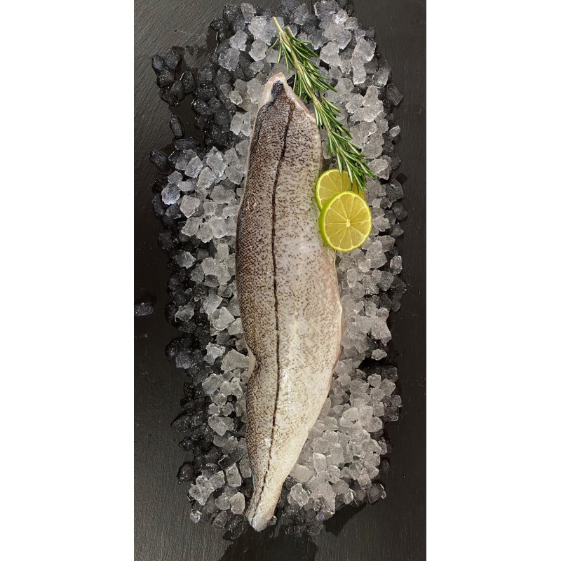 Frisches Schellfischfilet mit Haut