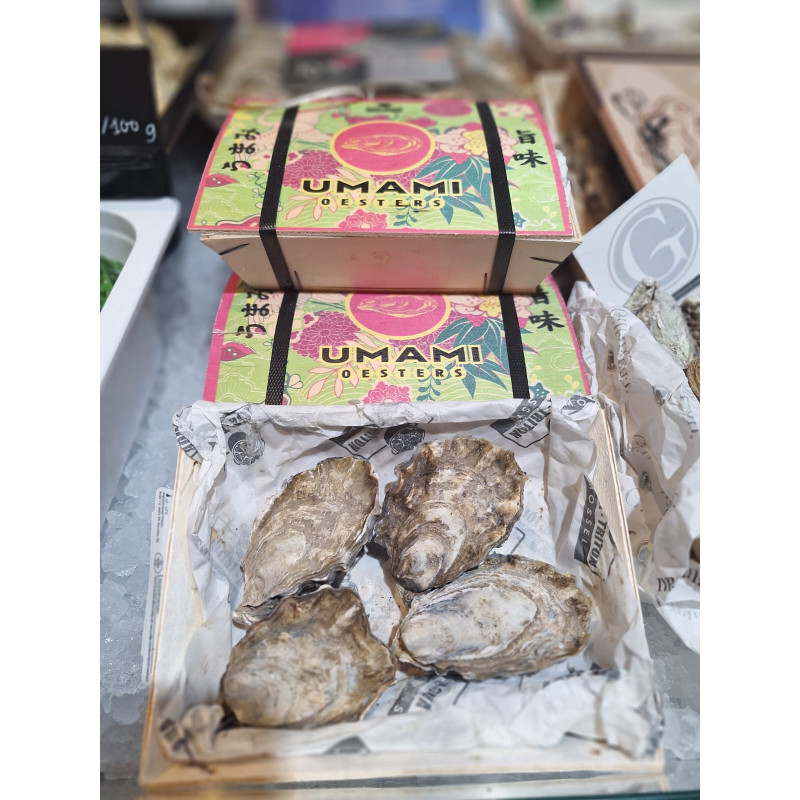 Irische Umami Austern