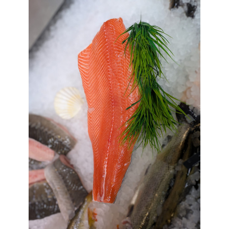 Frisches Label Rouge Lachsfilet