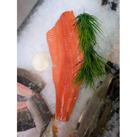 Frisches Label Rouge Lachsfilet