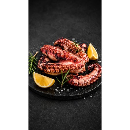 Winnerfish Oktopus-Tentakeln fertig gegart