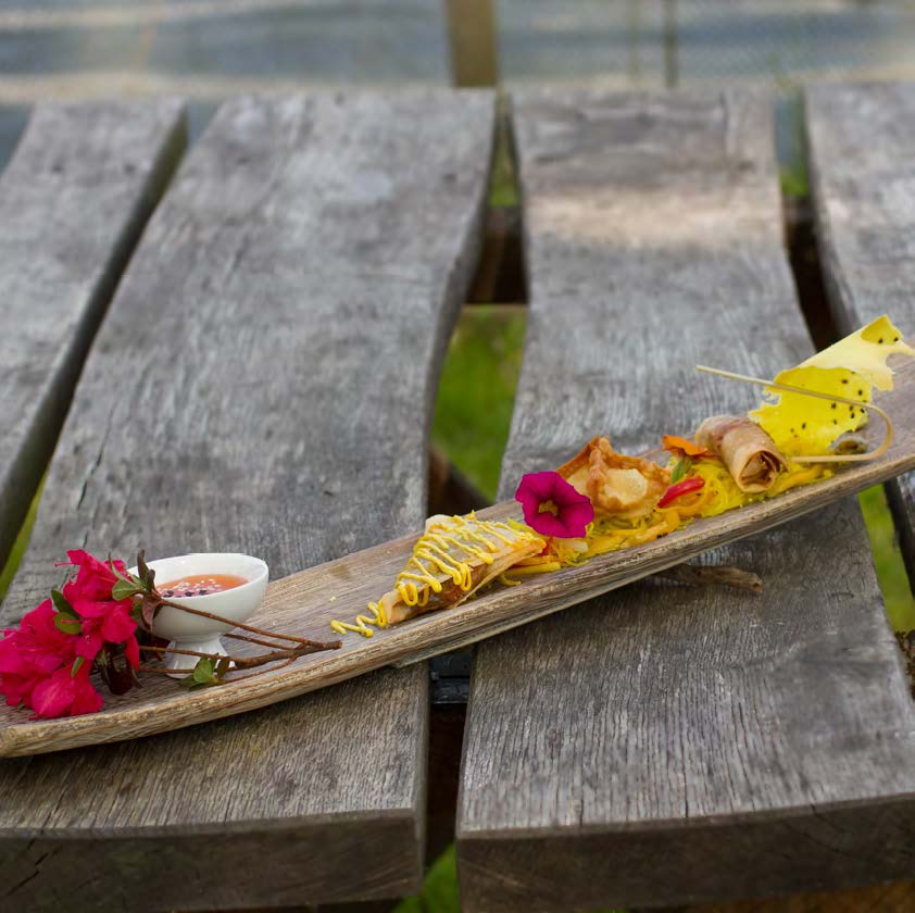 Frühlingsröllchen, Wan Tan und Samosa vom Boeker-Stör auf Glasnudelsalat