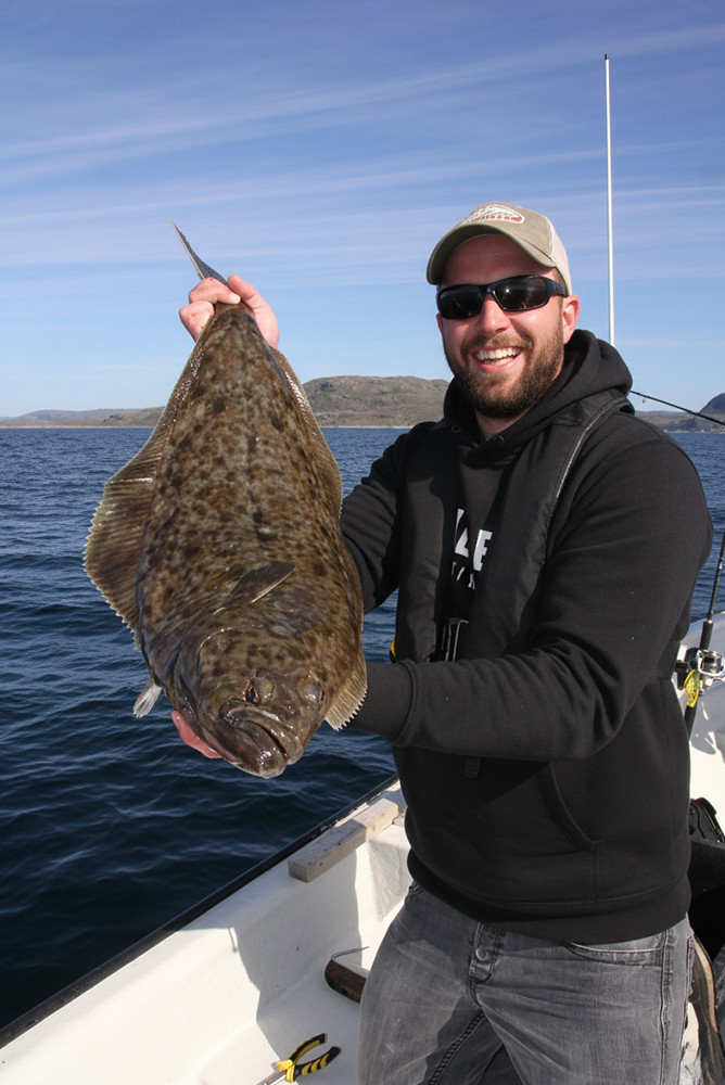 Heilbutt: Der König der Plattfische – Portrait und Vorkommen