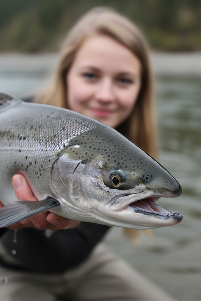 Lachs: Portrait des Edelfisches – Lebensraum und spektakuläre Wanderung