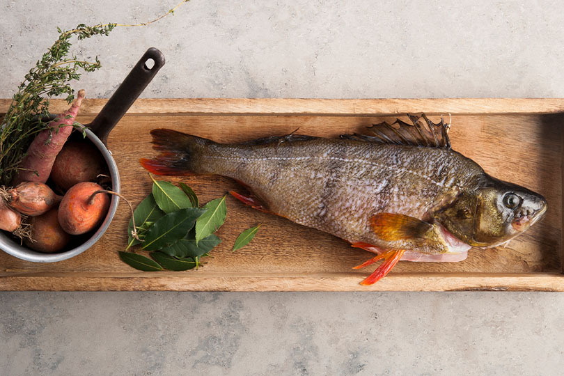 Fisch online bestellen – Barsch