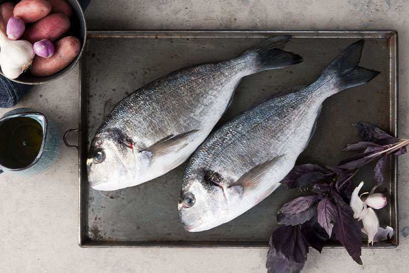 Bestellen Sie zum Beispiel Dorade online und lassen Sie sich den Fisch direkt nach Hause liefern Fisch online bestellen – Dorade