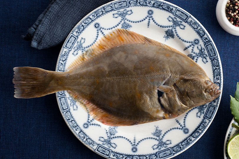 Bestellen Sie zum Beispiel Flunder online und lassen Sie sich den Fisch direkt nach Hause liefern Fisch online bestellen – Flunder