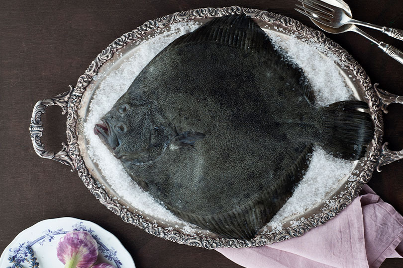 Bestellen Sie zum Beispiel Steinbutt online und lassen Sie sich den Fisch direkt nach Hause liefern Fisch online bestellen – Steinbutt