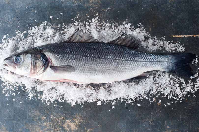 Fisch online bestellen – Wolfsbarsch