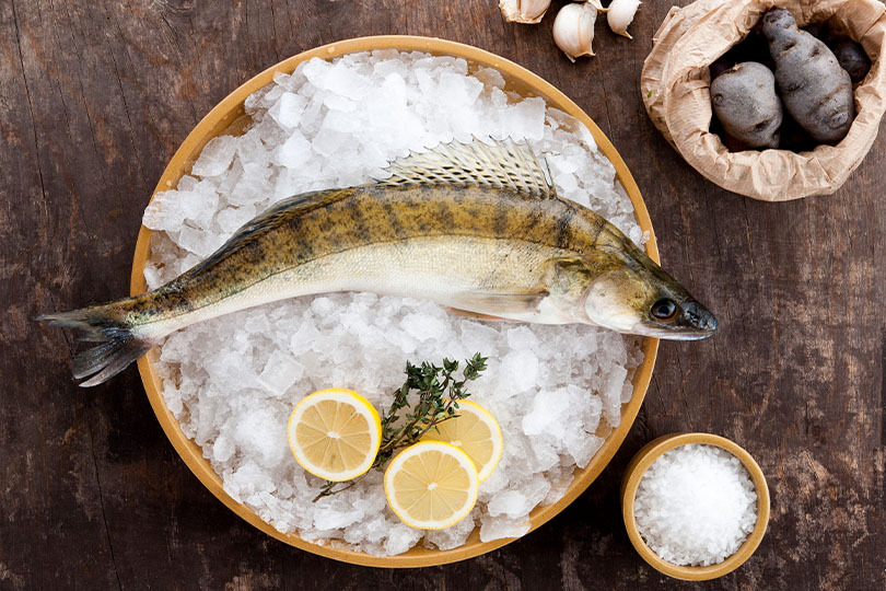 Fisch online bestellen – Zander