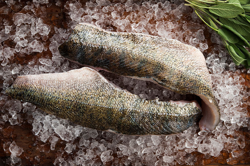 Fisch online bestellen – Zanderfilet